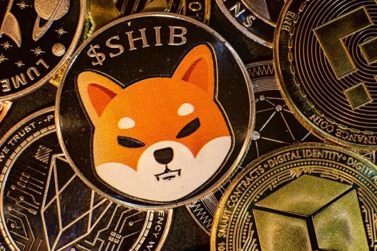 柴犬币反弹151%只是短期脉冲，Shibarium日均交易回落至1142笔