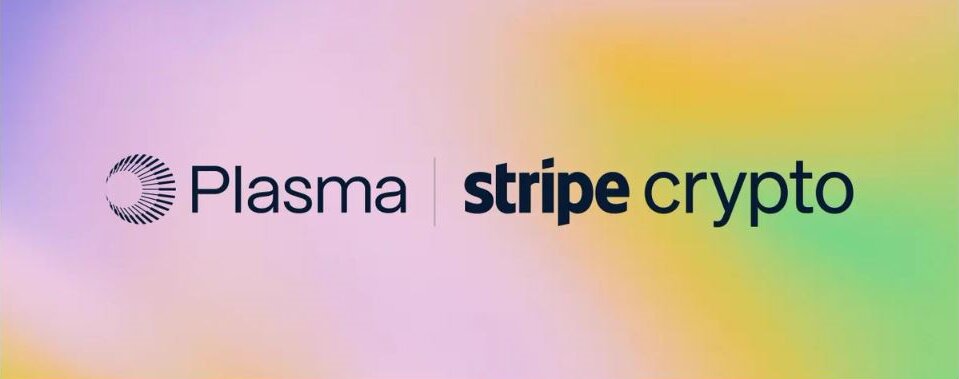 Stripe Crypto与Plasma达成合作,联合研发多币种稳定币支付卡