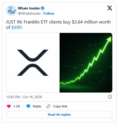 XRP守支撑,仍低于关键EMA