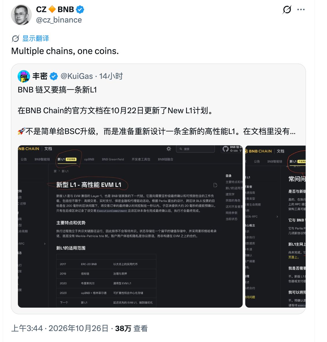 CZ 针对新 L1 发文明确“多条链一种币”