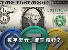 数字美元盈利拆解：发行方、分销商与支付服务商的利益分配格局