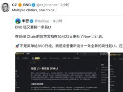 CZ背书：BNB Chain官方文档更新New L1规划，币安拟发全新高性能公链
